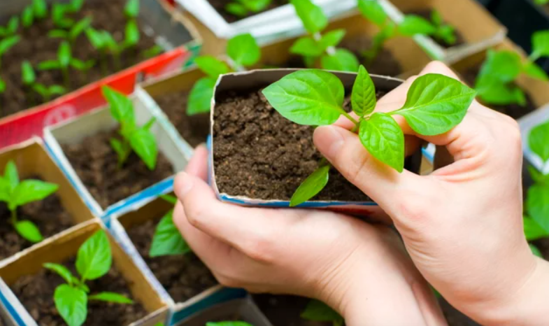 перекись водорода