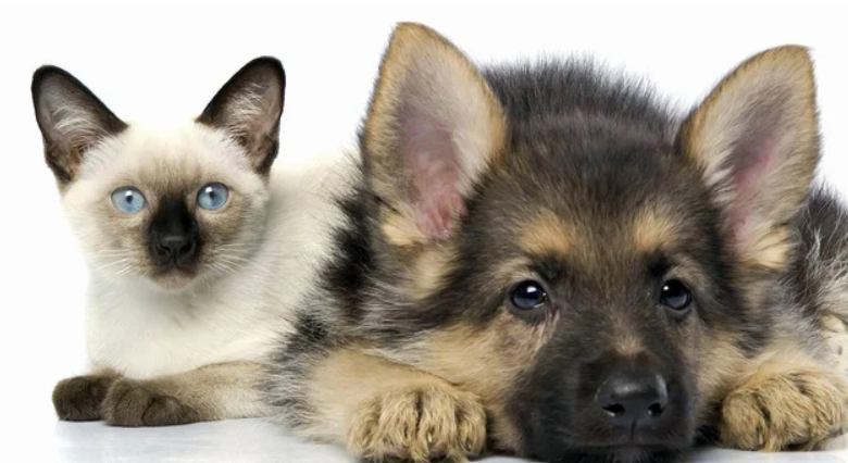 перекись водорода